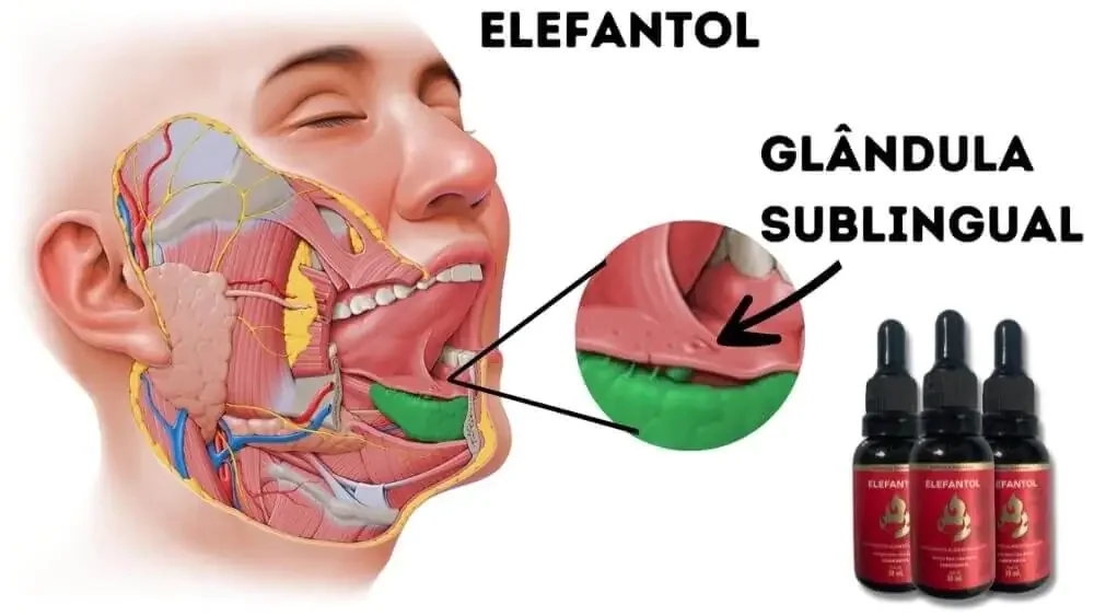Como o Elefantol funciona — Absorção Sublingual